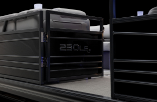 luxury pontoon boat 2024 Regency 230 LE3 Exclusive Auto Marine power boat outboard motor mercury marine