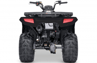 atv 2021 Tracker Off Road 300 Black Edition Exclusive Auto Marine side by side utv